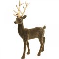 Floristik24 Dekorativ hjort dekorativ figur dekorativ reinflokk brun H46cm