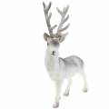 Floristik24 Deco hjort flokket/snødd 39cm