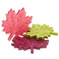 Floristik24 Maple leaf tre for spredning av forskjellige farger 4cm 72stk