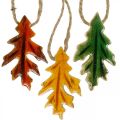 Floristik24 Dekorative blader tre til oppheng av fargerik høstpynt 6,5×4cm 12stk