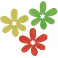 Floristik24 Treblomster sprer dekorasjon blomster tre gul/oransje/grønn Ø4cm 72p