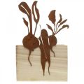 Floristik24 Plantekassetre med rustdekor grønnsakscachepotte 17×17×12cm