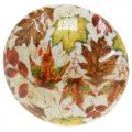 Tresopp deco høstløv hvit, fargerik høstdekor Ø13cm H19cm | Floristik24.no