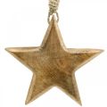 Floristik24 Dekorativ stjerne, trevedheng, julepynt 14cm × 14cm
