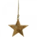 Floristik24 Dekorativ stjerne, trevedheng, julepynt 14cm × 14cm