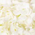 Kunstig hortensia med lang
