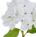 Floristik24 Hortensia 35cm hvit