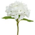 Floristik24 Dekorativ hortensia hvit 36cm