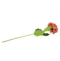 Floristik24 Hortensia rosa 80cm 1stk