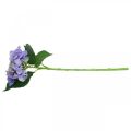 Floristik24 Dekorativ hortensia, silkeblomst, kunstig plante lilla L44cm