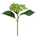 Floristik24 Kunstig hortensia, blomsterdekor, silkeblomst grønn L44cm