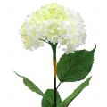Floristik24 Hortensia hvit kunstig 80cm