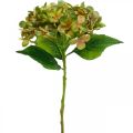 Floristik24 Hortensia kunstig Grønn, Gul kunstig blomst H35cm