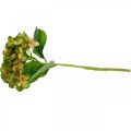 Floristik24 Hortensia kunstig Grønn, Gul kunstig blomst H35cm