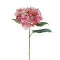 Floristik24 Hortensia kunstig rosa og grønn hageblomst med knopper 52cm