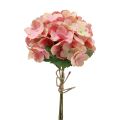 Floristik24 Hortensia kunstig panikk hortensia rosa laks 35cm 3stk