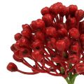 Floristik24 Hortensia knopp pick 22cm rød 12stk