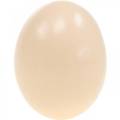 Floristik24 Kyllingeggkrem Påskepynt Blåste egg 10stk