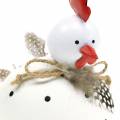 Floristik24 Deco figur kylling hvit med prikker og fjær H13cm 2stk