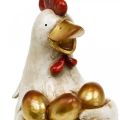Floristik24 Påskekylling, pyntehøne, kylling med gullegg, påskefigur H24cm