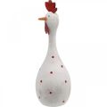 Floristik24 Dekorativ kyllingved hvit med prikker påskefigur Ø7cm H20cm