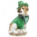 Floristik24 Beagle i hatt St. Patrick&#39;s Day Hund i dress Hagedekor Hound H24,5cm