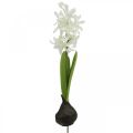 Floristik24 Kunstig hyasint med løke kunstig blomst hvit å stikke 29cm