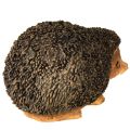 Pinnsvin dekorativ høstfigur håndmalt brun 14×9,5×9 cm | Floristik24.no