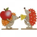 Floristik24 Høstfigur, pinnsvin med eple og sopp, trepynt oransje / rød H24 / 23,5 cm sett med 2