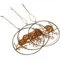 Floristik24 Metallpendel, pinnsvin på gren, høstdekorasjon, dekorativ ring, rustfritt stålramme Ø15,5cm 3stk