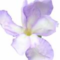 Floristik24 Iris kunstig lilla 78cm