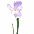 Floristik24 Iris kunstig lilla 78cm