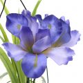 Floristik24 Iris lilla i et glass for oppheng av H21.5cm