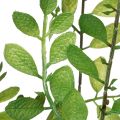 Kunstig plante i potte, 130 cm høy, grønn, dekorativ | Floristik24.no