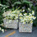 Floristik24 Bokser for planting, tredekor, dekorativ boks med bier, vårdekorasjon, shabby chic L15/12cm H10cm sett med 2