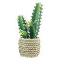 Floristik24 Kaktus i potte kunstig kaktus assortert 28cm 2stk
