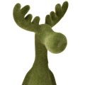 Dekorativ kantsitter i Elk, grønn, H31 cm, 2 stk. | Floristik24.no