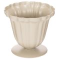 Floristik24 Dekorativ bolle, kremfarget trofé, liten, 10 cm