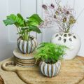 Floristik24 Keramikkkrukke, kunstferdig plantekasse, plantekasse turkis, beige, brun Ø11,5cm H9cm 2stk