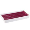 Stearinlys ensfargede Berry stick lys 34x300mm 4 stk | Floristik24.no