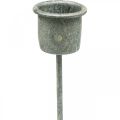 Floristik24 Plug-in lysestake Shabby Chic grå Ø3cm H8,5cm 8 stk