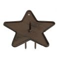 Floristik24 Lysholder stjerne til pinne 9cm brun