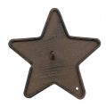 Floristik24 Lysholder stjerne til pinne 9cm brun