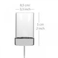 Lysholder for plugging av metall/glass Ø5cm H14cm 4 stk | Floristik24.no