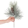 Kunstig furukvist med kongler, vinterlig, 40 cm | Floristik24.no