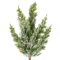 Floristik24 Kunstig snødekt furukvist til blomsteroppsatser og adventsdekorasjoner, 40 cm, 3 stk.