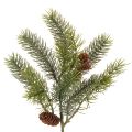 Floristik24 Kunstig julegren, dekorativ gren med kongler