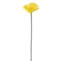 Floristik24 Kunstige blomster Gerbera gul 45cm