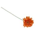 Floristik24 Kunstige blomster Gerbera Orange 45cm