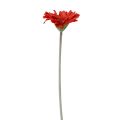 Floristik24 Kunstige blomster Gerbera Rød 45cm